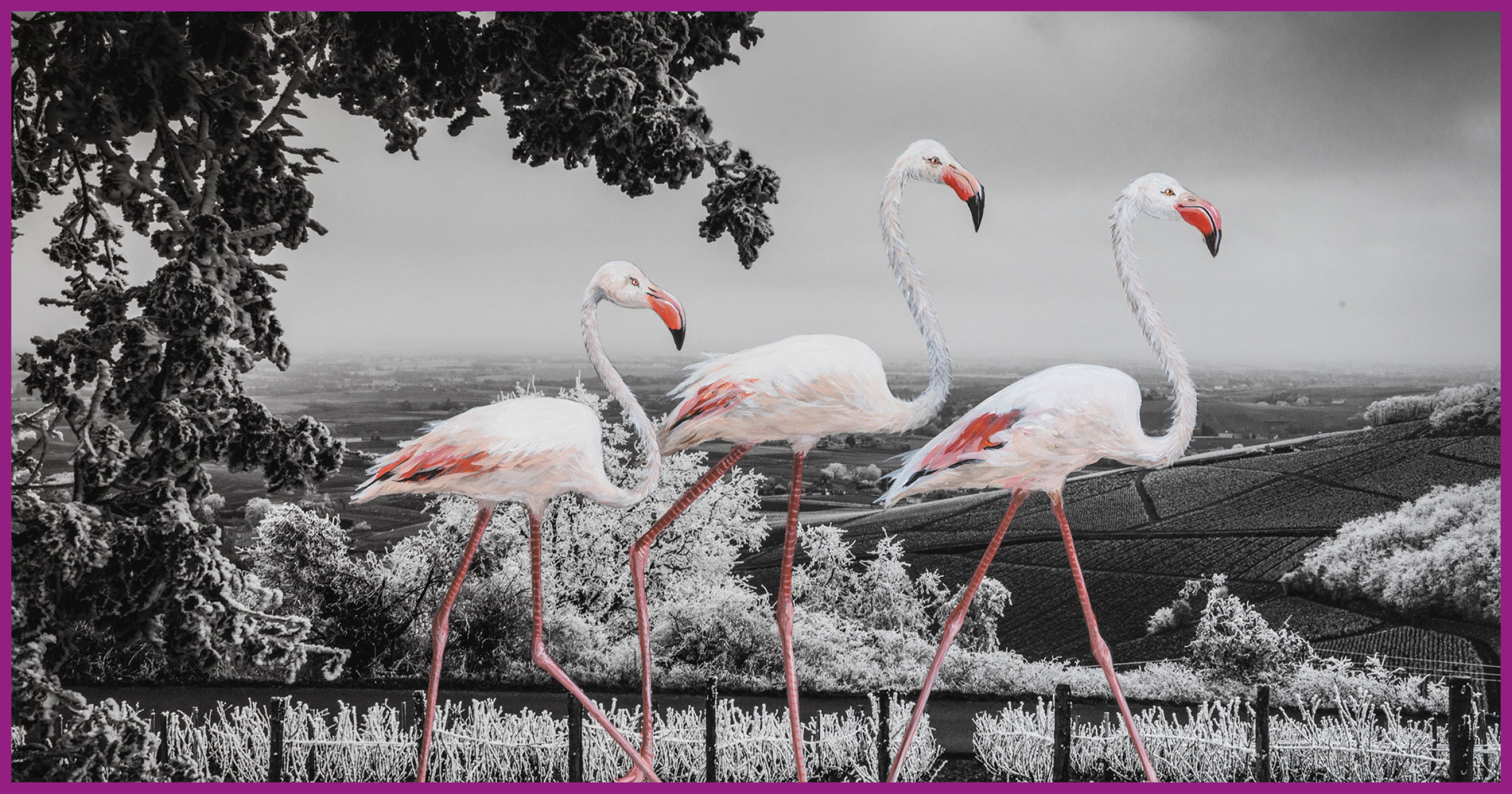 Promenade Hivernale - Oeuvre de Nathalie Roure Perrier et Denis Laveur
